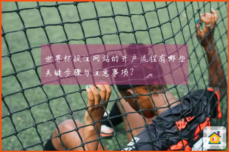 世界杯投注网站的开户流程有哪些关键步骤与注意事项?