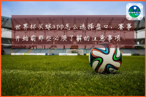 世界杯买球app怎么选择盘口，赛事开始前那些必须了解的注意事项