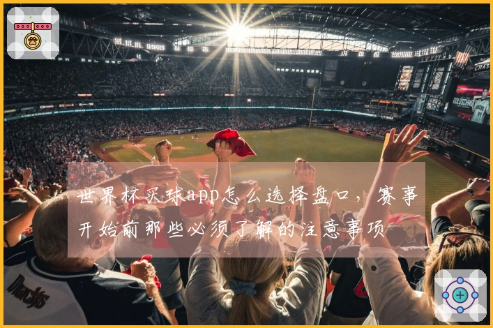 世界杯买球app怎么选择盘口,赛事开始前那些必须了解的注意事项
